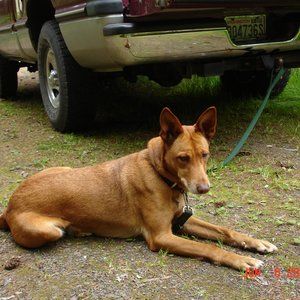 Meet your Posher, Sherry